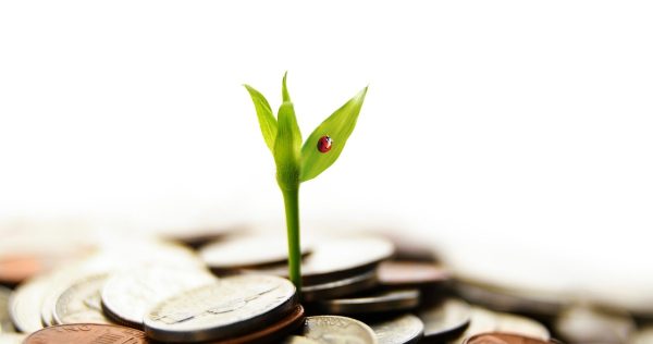 Debt Recovery & Defence